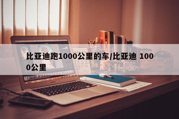 比亚迪跑1000公里的车/比亚迪 1000公里