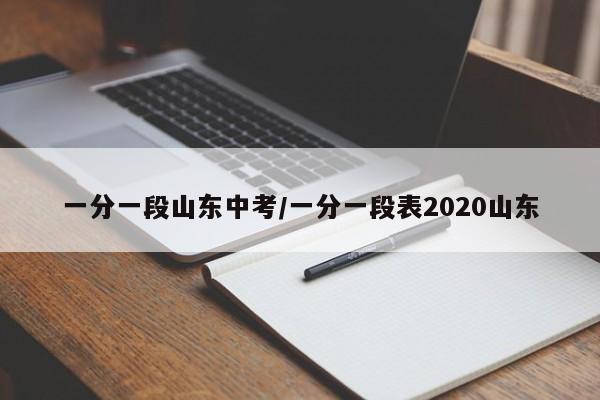 一分一段山东中考/一分一段表2020山东